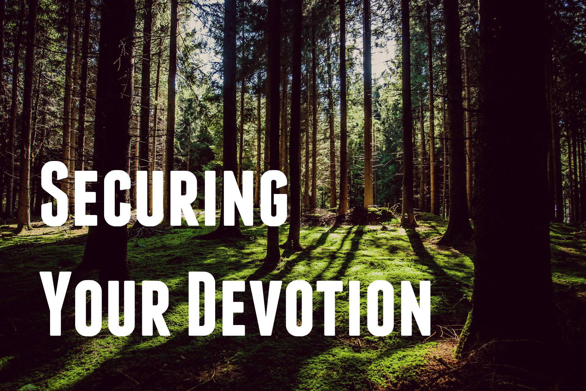 undistracted devotion to the lord